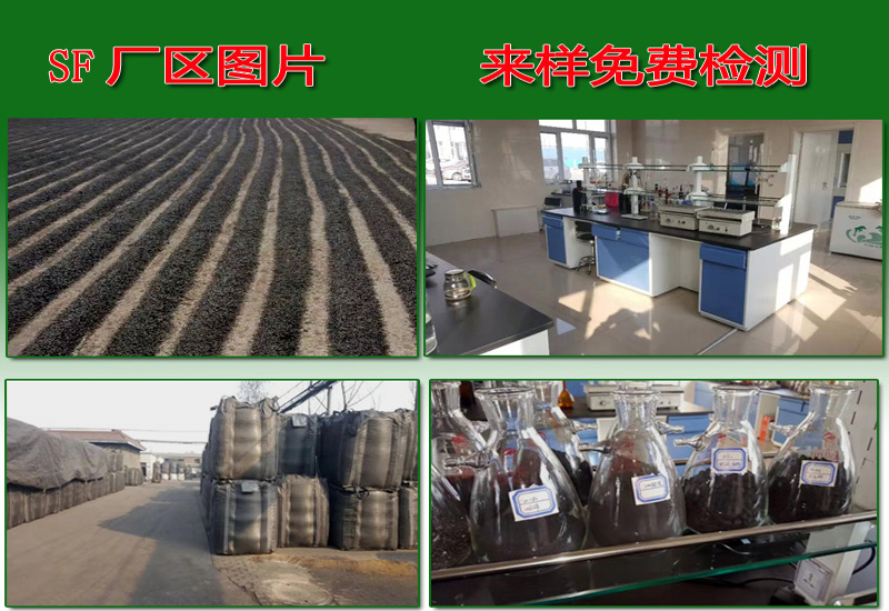 ����̿�S�ң�ú�|(zh��)�������̿�S�ҬF(xi��n)��(ch��ng)�D